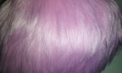 20130312_165621.jpg